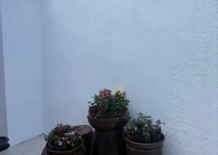 Dadok Hanok Comfort And Calm In The Heart Of Seoul